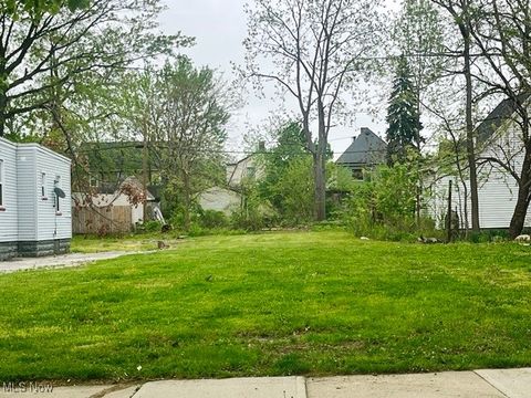 1569 Newman Avenue Lakewood OH 44107