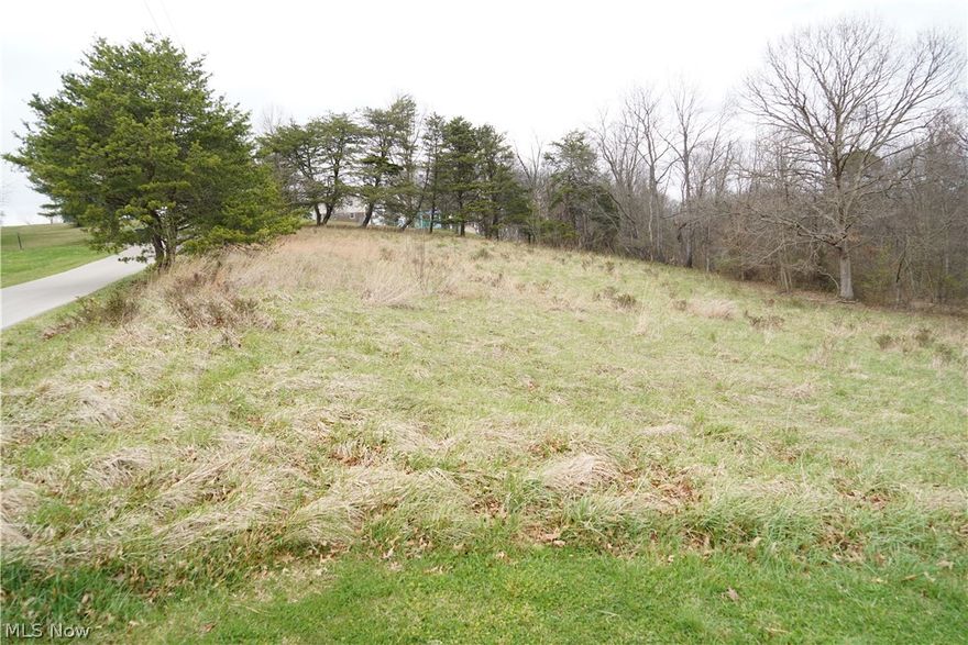 0.8026-acre lot conveniently located near I-77 and WV-2 in the Vienna/Parkersburg area. Mostly flat with a slight slope, offering a great opportunity for a variety of build options. Buyers to verify suitability for intended use.