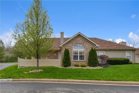 Condo For Sale - 695 E Western Reserve Road #602<br/> Mahoning County, Poland, OH 44514