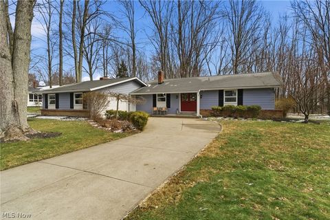 Photo of 7725 Beaver Creek Drive, Mentor, OH 44060 (MLS # 5190958)