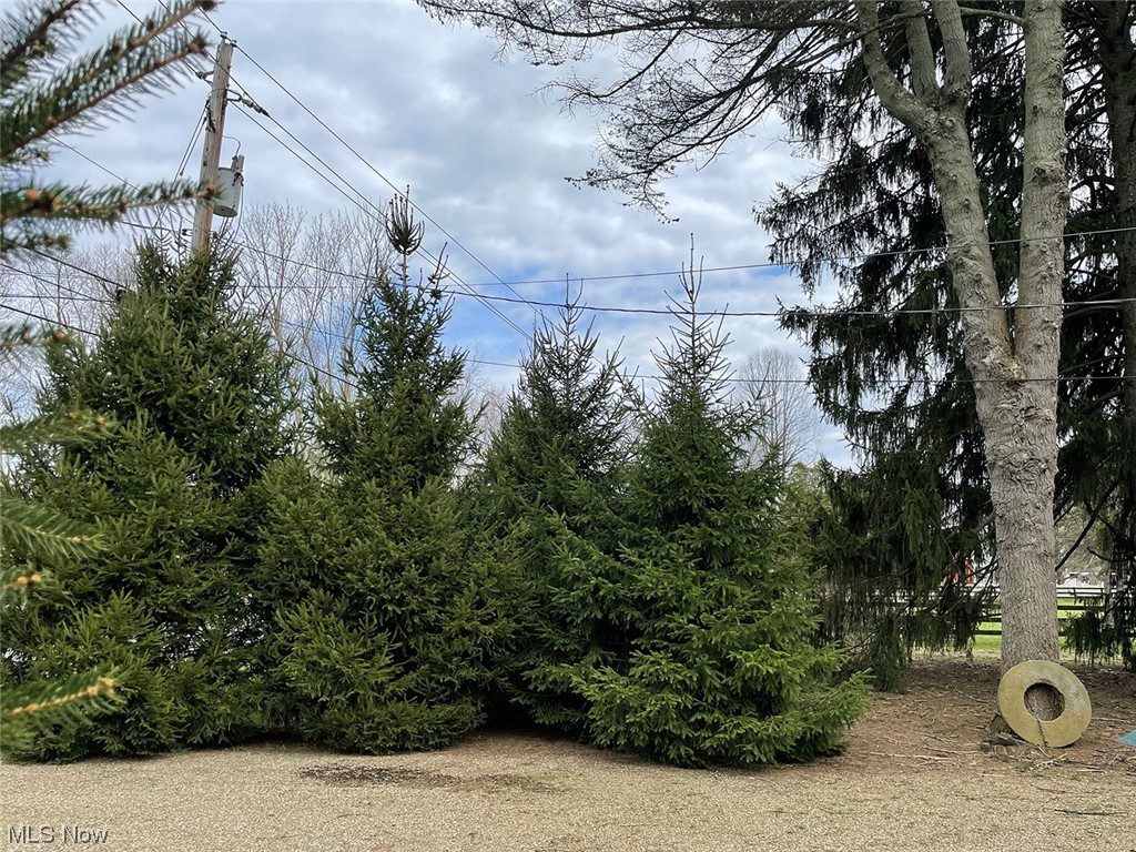 Bethlehem Sec 08 - Land