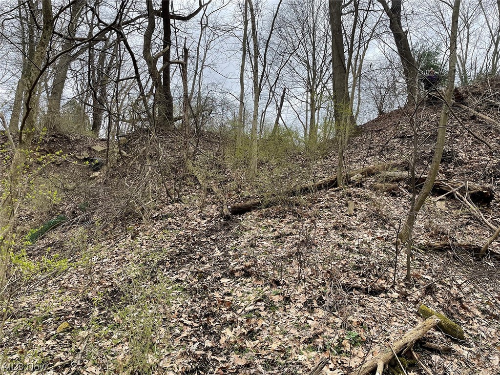 Bethlehem Sec 08 - Land