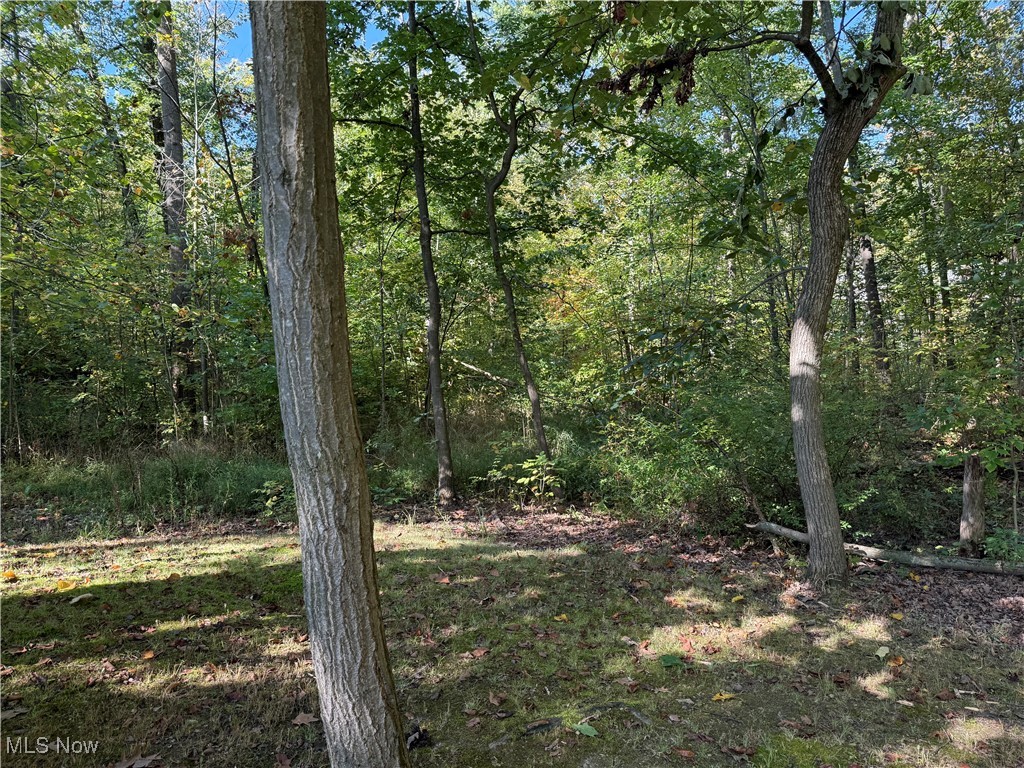 Cinnamon Lake Sub Un #1 - Residential