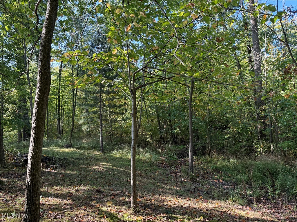 Cinnamon Lake Sub Un #1 - Residential