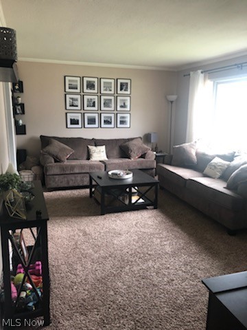 Rush Road - Residential