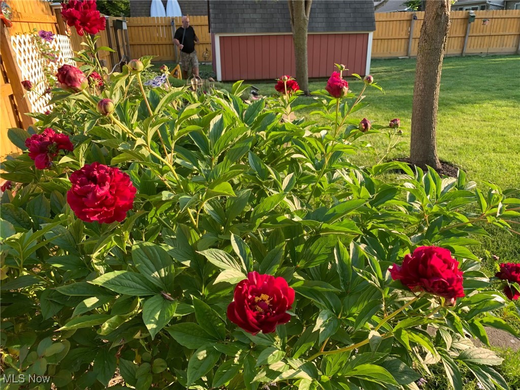 Avon Sec 11 - Residential