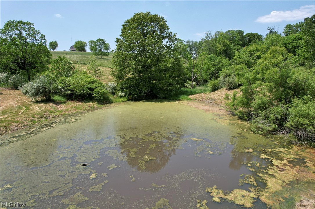 The Zimmerman Farm Sub - Land