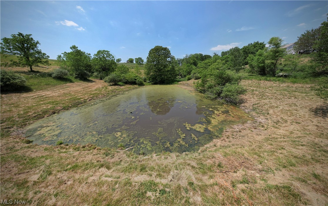 The Zimmerman Farm Sub - Land