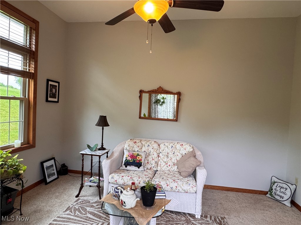 617 Wedgewood Way #617, Millersburg, Ohio image 23