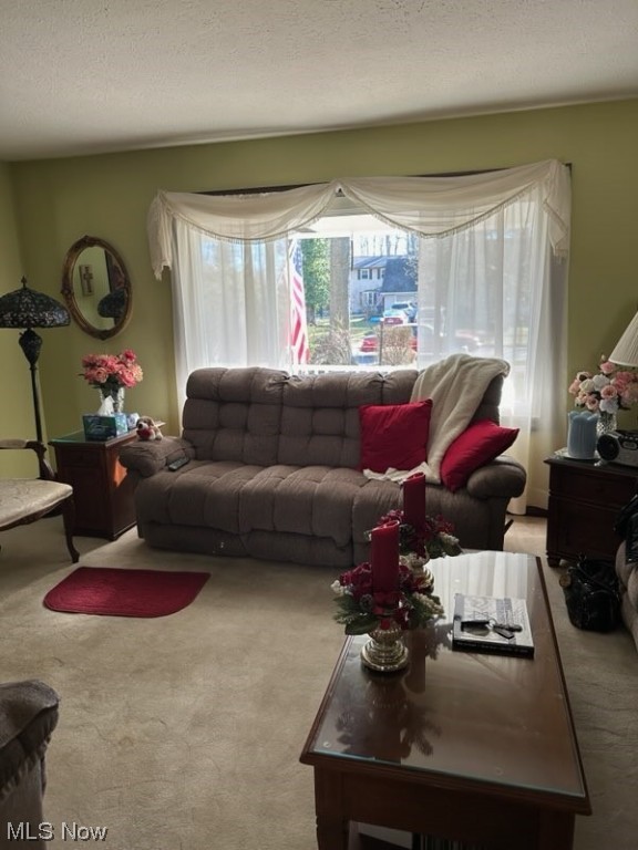 Willow Park Sub #1 - Residential