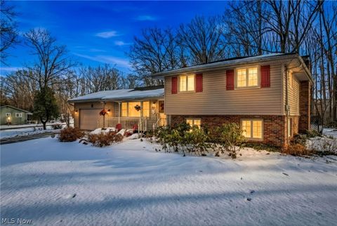 Homes For Sale - 3845 State Route 305<br/> Southington, OH 44470