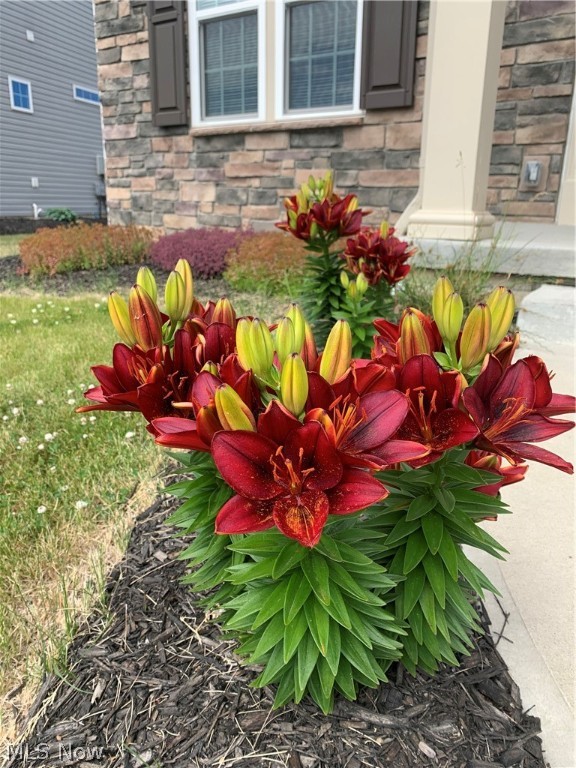 Hunting Meadows - Residential