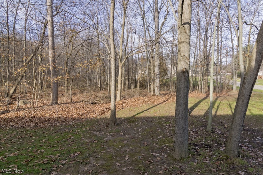 Woodland Lake Ph II - Residential