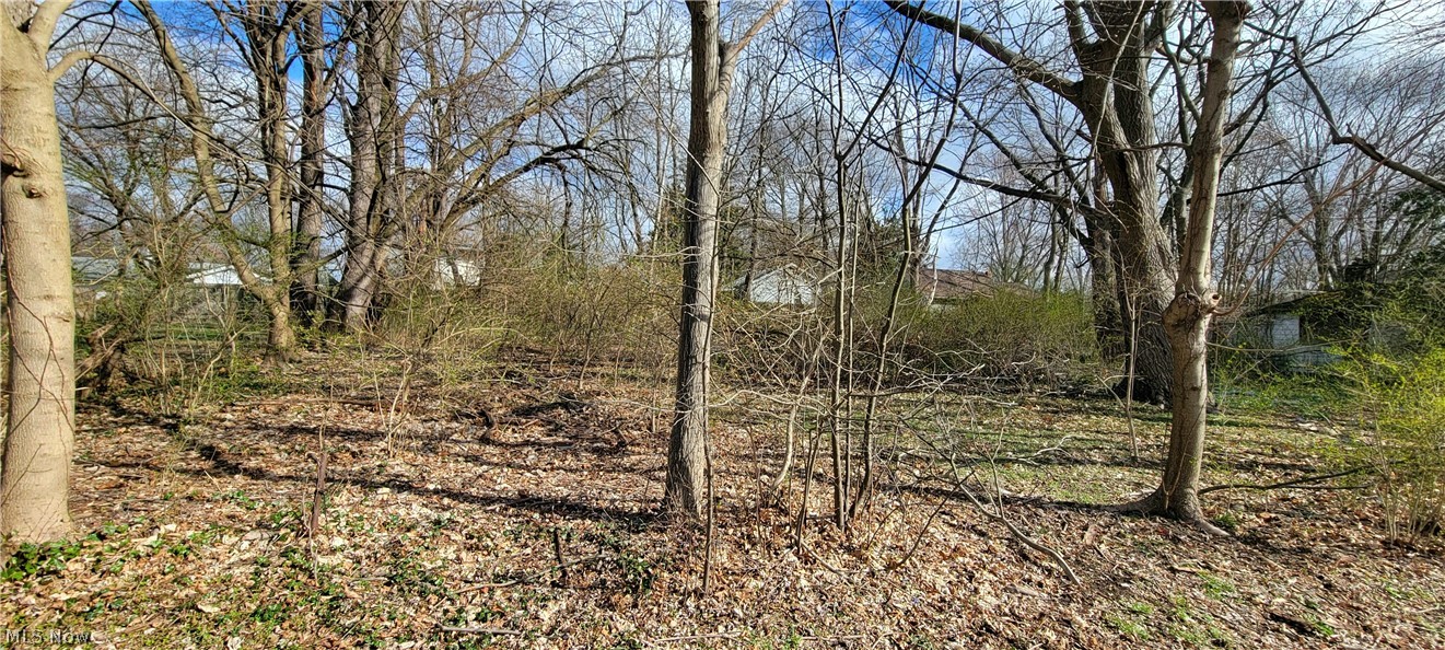 Nice property in a great location! Green schools, no outlet street, private feel, park is located at the end of the street, close to shopping, Rt 77 access, and the Portage Lakes! Small home on the property was involved in a fire in 2014 and is in need of extensive repair. Electric was removed from it at that time. There is a 2 car garage on the property as well. This would be a beautiful property to build your dream home!