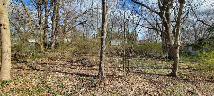 Nice property in a great location!  Green schools, no outlet street, private feel, park is located at the end of the street, close to shopping, Rt 77 access, and the Portage Lakes! Small home on the property was involved in a fire in 2014 and is in need of extensive repair. Electric was removed from it at that time. There is a 2 car garage on the property as well. This would be a beautiful property to build your dream home!