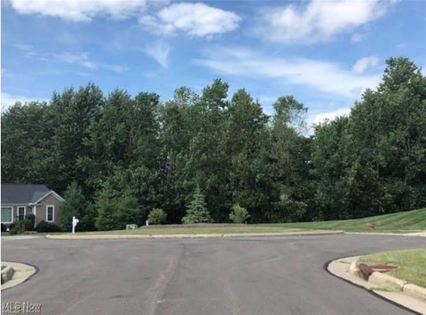 Vacant Land For Sale - 1612 Mids Court<br/> Streetsboro, OH 44241