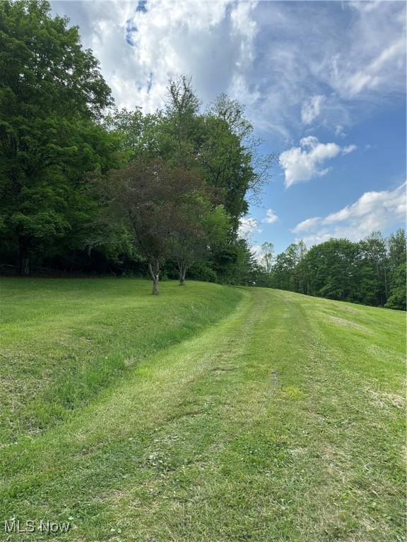 39164 Frieden Hill Rd, Sardis, Ohio image 46