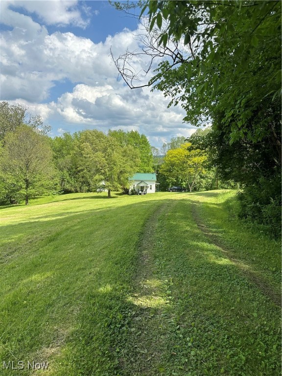 39164 Frieden Hill Rd, Sardis, Ohio image 50