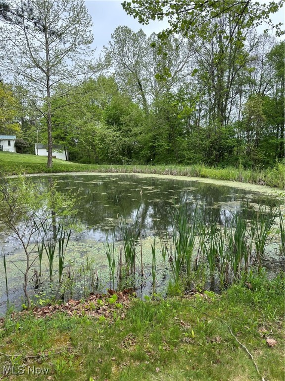 39164 Frieden Hill Rd, Sardis, Ohio image 33
