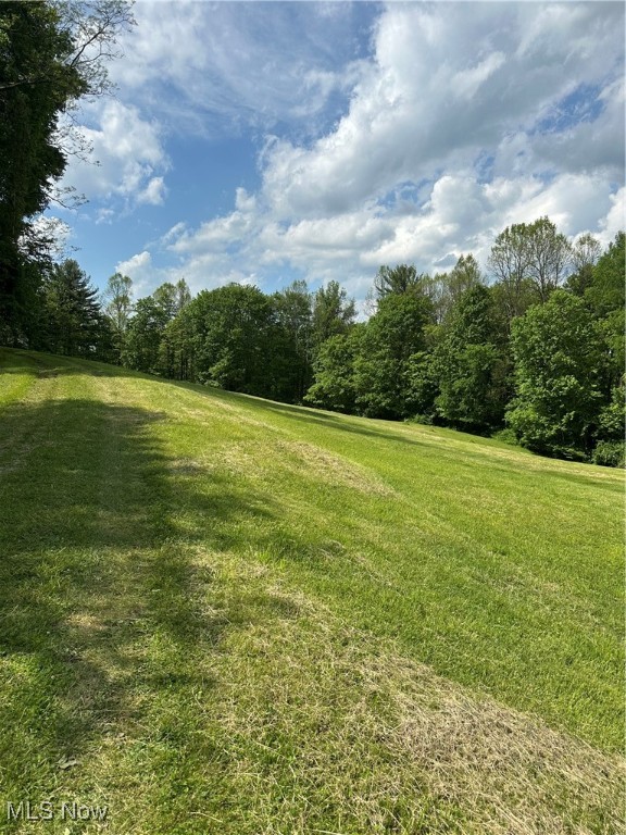 39164 Frieden Hill Rd, Sardis, Ohio image 47