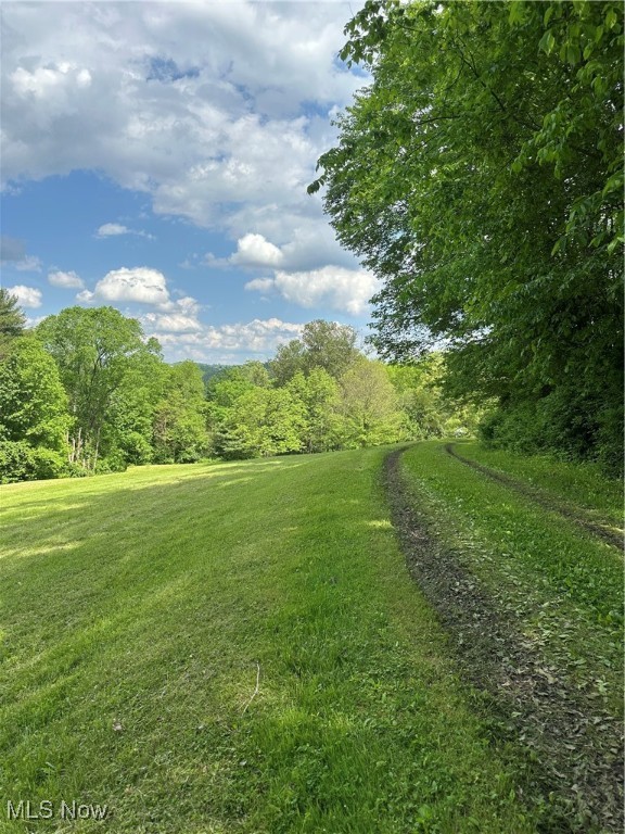 39164 Frieden Hill Rd, Sardis, Ohio image 49