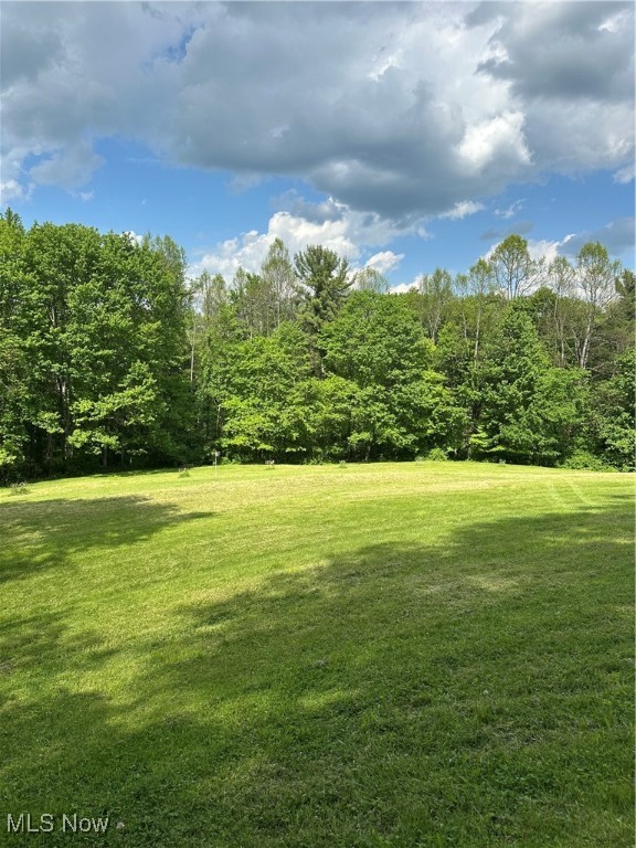 39164 Frieden Hill Rd, Sardis, Ohio image 48