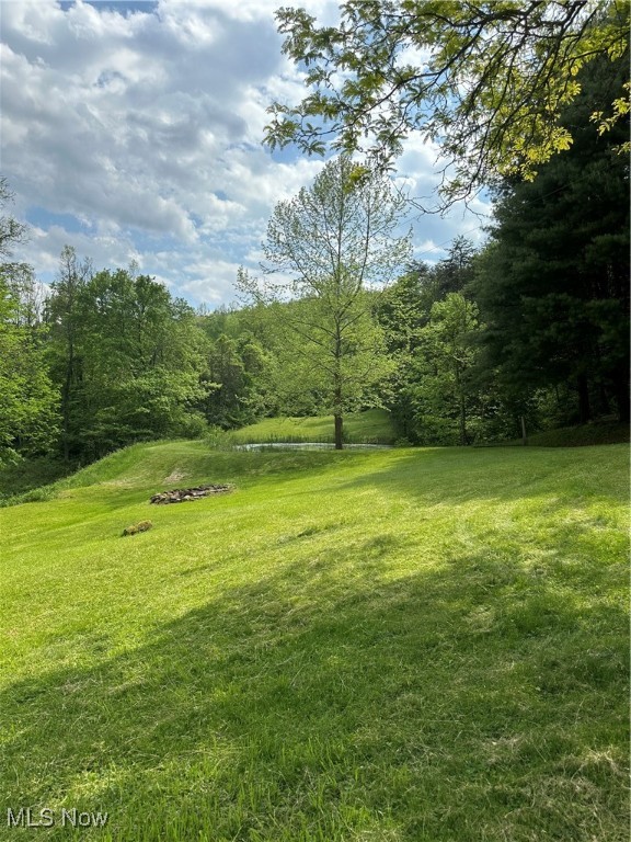 39164 Frieden Hill Rd, Sardis, Ohio image 29