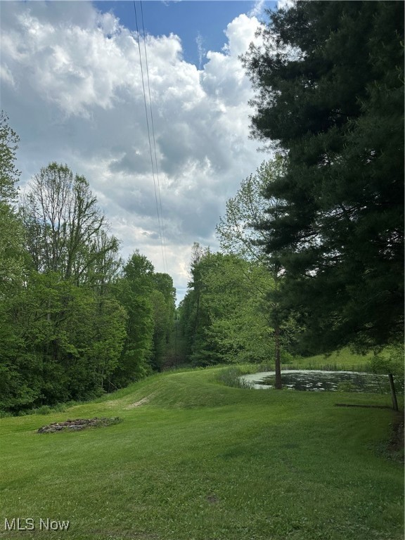 39164 Frieden Hill Rd, Sardis, Ohio image 30