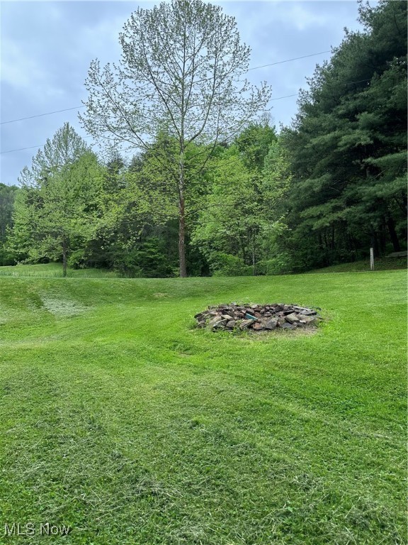 39164 Frieden Hill Rd, Sardis, Ohio image 28