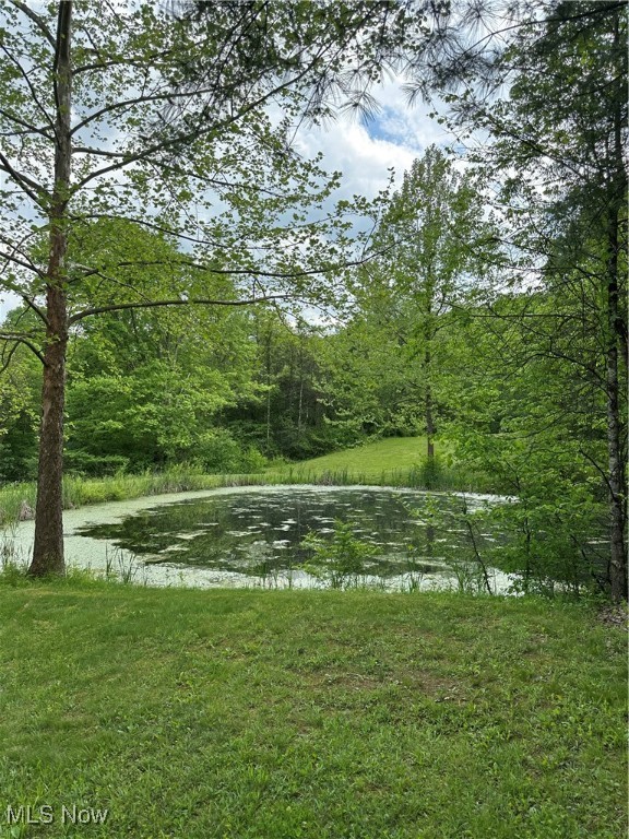 39164 Frieden Hill Rd, Sardis, Ohio image 32