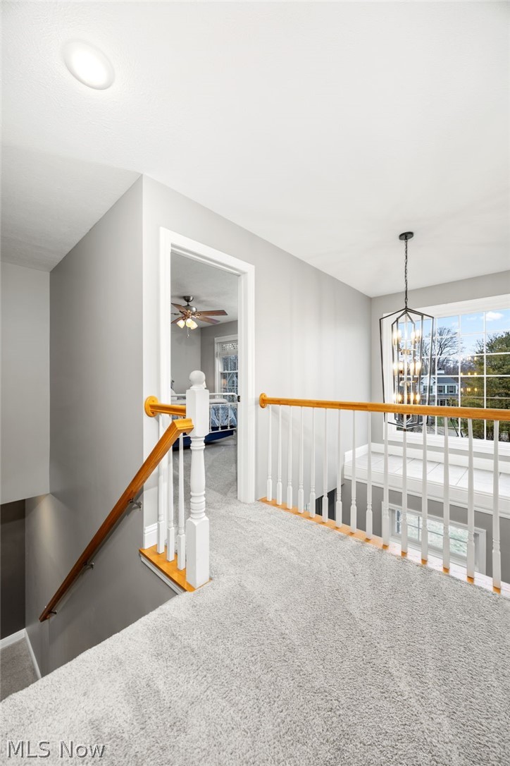 South Point Meadows - Residential