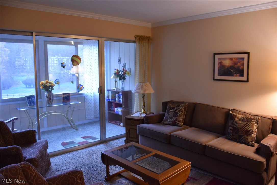 Silver Lake Towers Condo - Residential