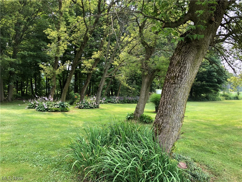 Connecticut Western Reserve - Residential