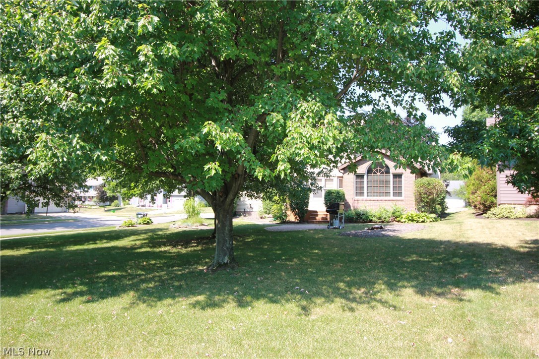 Surrey Hill #3 - Residential