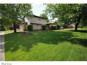 Surrey Hill #3 - Residential