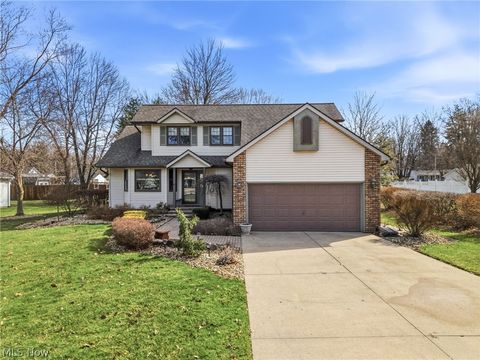 Homes For Sale - 105 Ruth Avenue<br/> Cortland, OH 44410