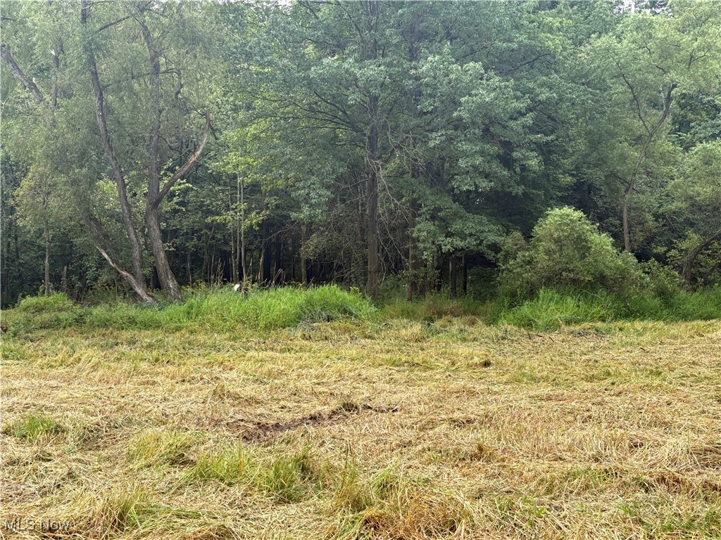 Elaine Estates #2 - Land