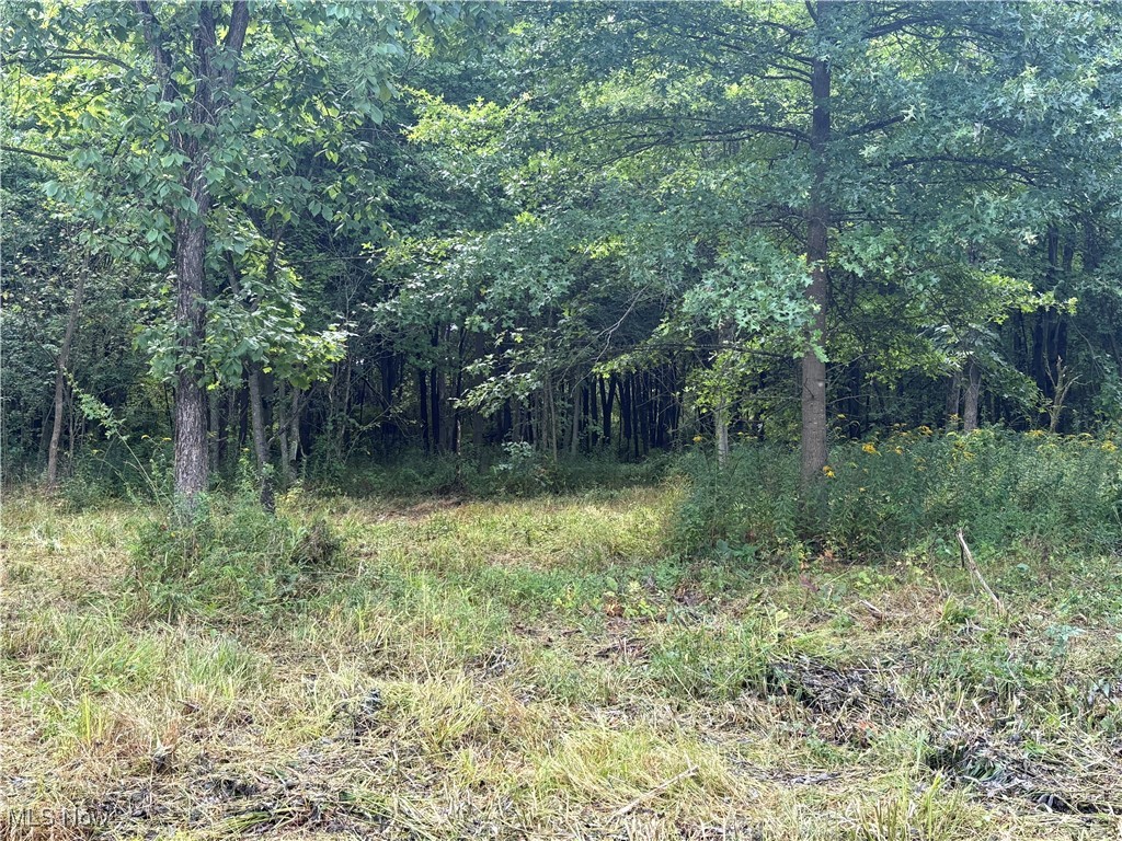 Elaine Estates #2 - Land