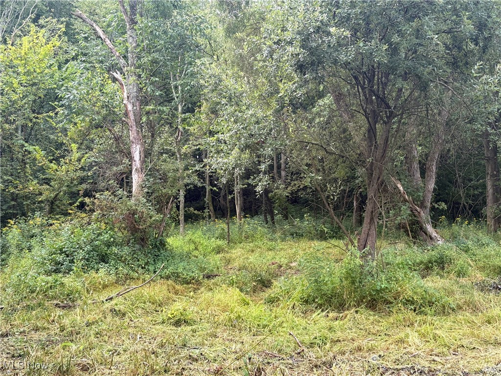 Elaine Estates #2 - Land