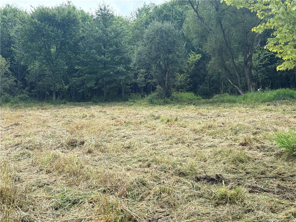 Elaine Estates #2 - Land