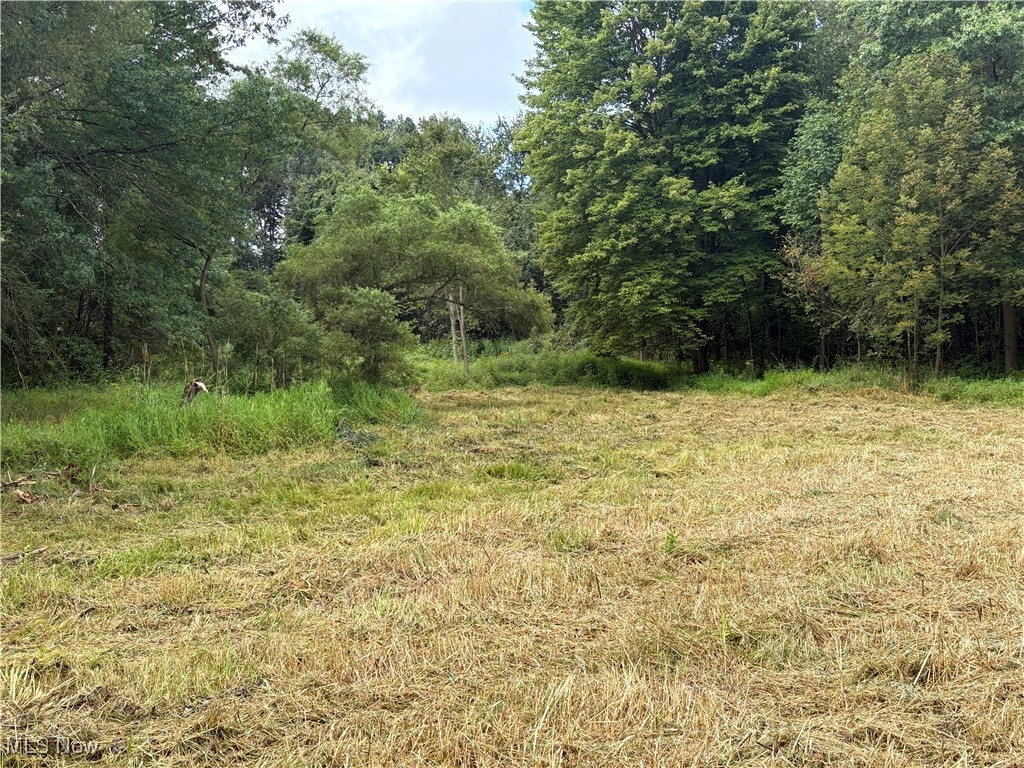 Elaine Estates #2 - Land