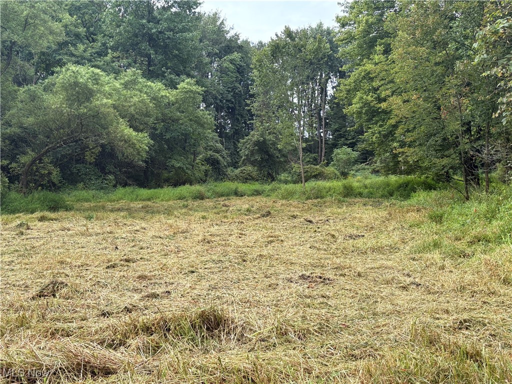 Elaine Estates #2 - Land