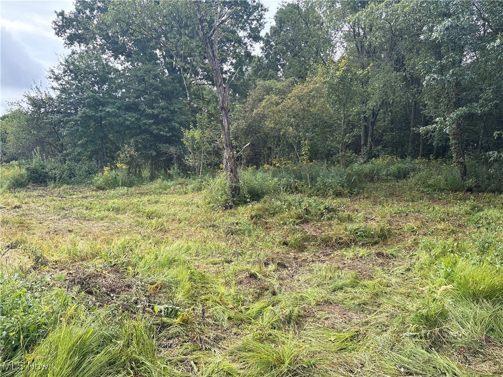 Elaine Estates #2 - Land