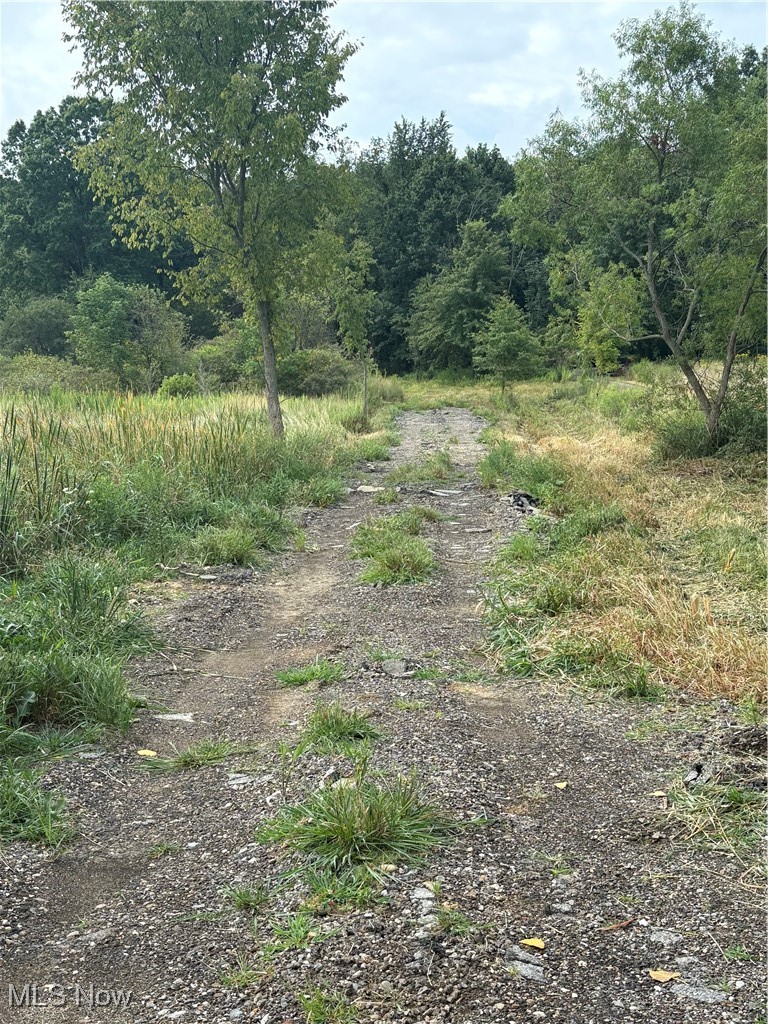 Elaine Estates #2 - Land