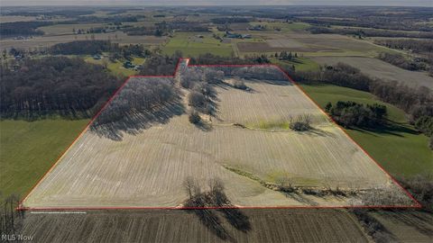 Vacant Land For Sale - Manchester Avenue<br/> Stark County, Massillon, OH 44647