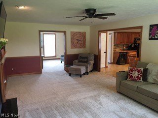 Shepherds Gate Allotment 05 - Residential