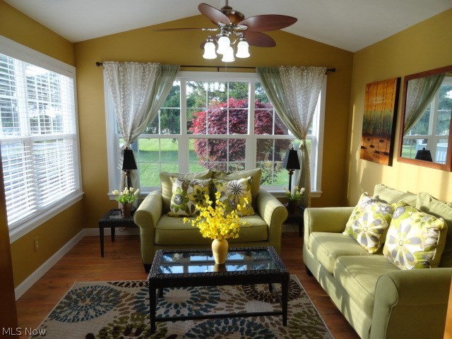 Shepherds Gate Allotment 05 - Residential