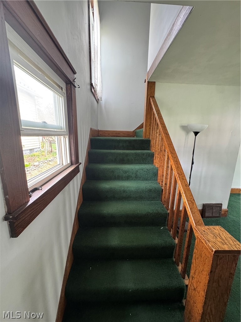 Pitcher - Residential