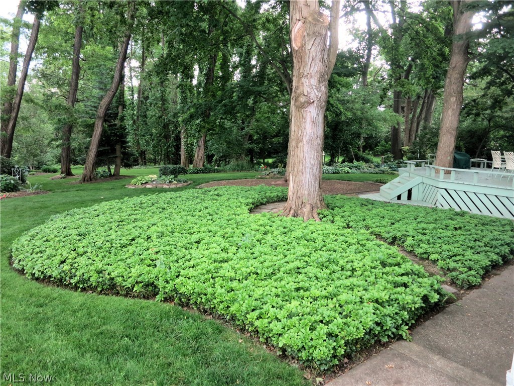 Silver Lake Estates - Residential