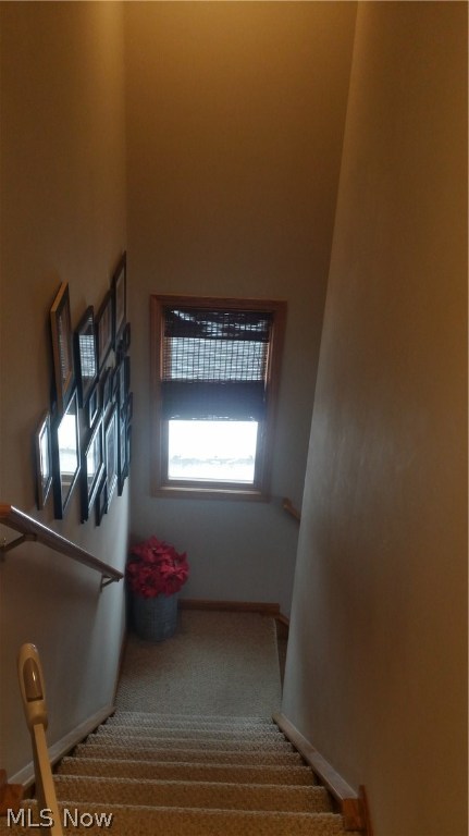 New Haven Neighborhood Ph 1 - Residential